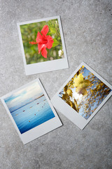 Realistic polaroid photo frames pack. Top view.