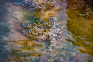 Burgers\ Zoom  Arnhem