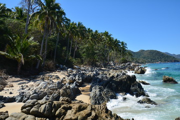Plage sauvage Puerto Vallarta Mexique