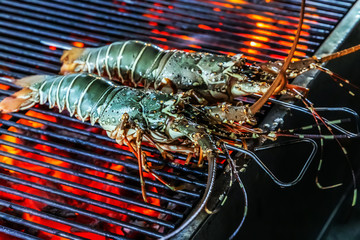 Lobster grill steamed flames sizzling Food Background