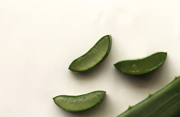 Aloe Vera Plant Leaf