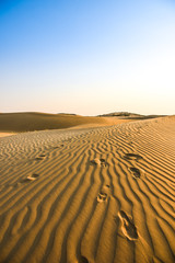 sand dunes in the desert