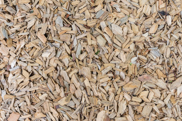 Background of wood sawdust, natural surface in the park