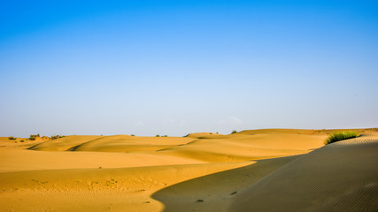 sand dunes in the desert