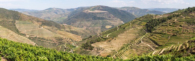 Scenic view of Alto Douro Vinhateiro with terraces and vineyards