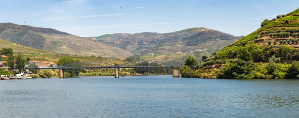 Pinhão village at Alto Douro Vinhateiro, Douro River, bridge and vineyards