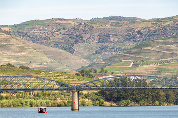 Pinhão village at Alto Douro Vinhateiro, Douro River, bridge and vineyards