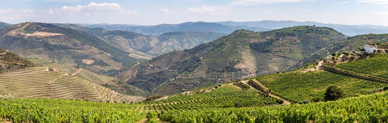 Scenic view of Alto Douro Vinhateiro with terraces and vineyards