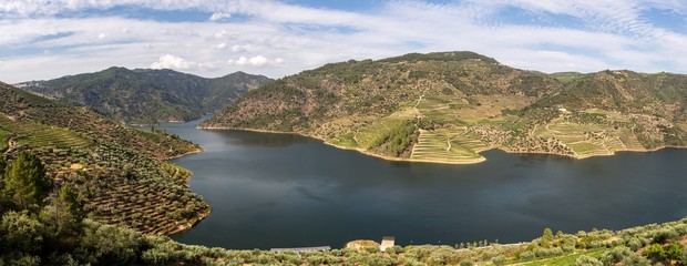 Scenic view of Alto Douro Vinhateiro with terraces and vineyards