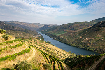 Scenic view of Alto Douro Vinhateiro with terraces and vineyards