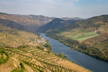 Fototapeta na wymiar Scenic view of Alto Douro Vinhateiro with terraces and vineyards