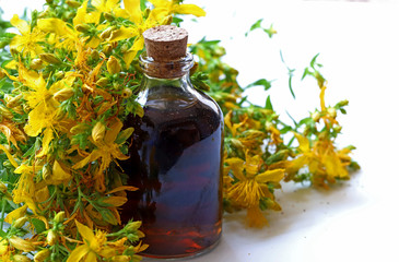 St. John's Wort oil ; Hypericum perforatum