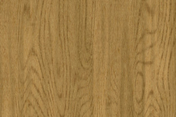 Wood oak tree close up texture background. Wooden floor or table with natural pattern	