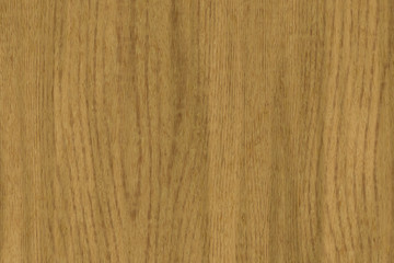 Wood oak tree close up texture background. Wooden floor or table with natural pattern	