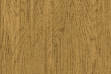 Wood oak tree close up texture background. Wooden floor or table with natural pattern	