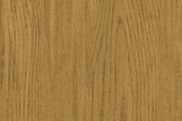 Wood oak tree close up texture background. Wooden floor or table with natural pattern	