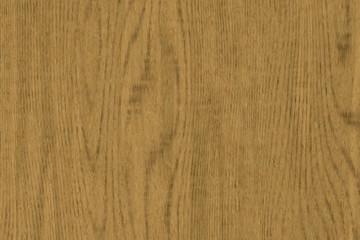 Wood oak tree close up texture background. Wooden floor or table with natural pattern	