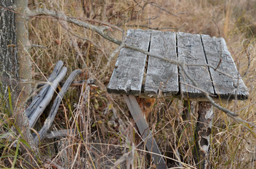 Small wooden table and bench hidden under branches of dry trees, fall (autumn) time, cozy place