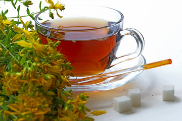 St. John's Wort tea ; Hypericum perforatum