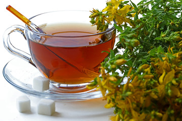 St. John's Wort tea ; Hypericum perforatum