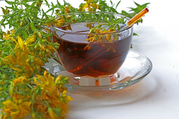 St. John's Wort tea ; Hypericum perforatum
