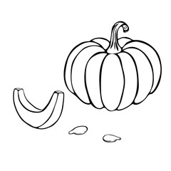 pumpkin or squash outline illustration isolated on white background. pumpkin icon. vintage hand drawn pumpkin sketch. outline pumpkin for colouring book, logo, halloween or thanksgiving concept.