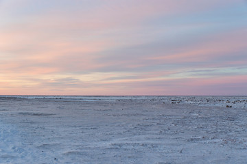 Landscape at the Arctic