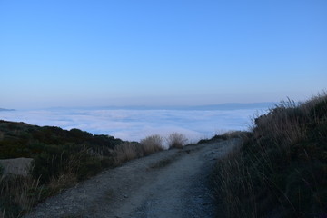 foggy morning road