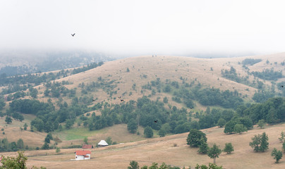 Obraz premium Hilly landscape in Serbia, Zlatibor. Beautiful view with hills, clouds, trees and wooden houses. Blue sky and grass. Beautiful plain. Foggy day and hills. Nature