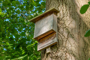 on a tree in the forest, conservationists have put up an insect hotel.