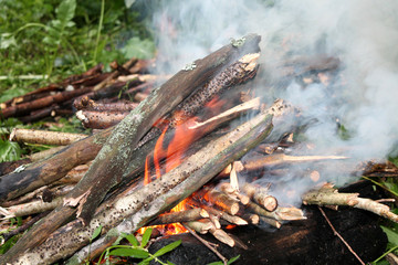 Burning fire in the woods on vacation. Горящий костер в лесу на отдыхе