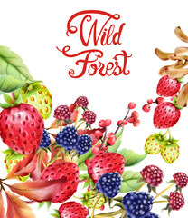 Wild forest fruits composition vector. Strawberries, autumn leaves and berries