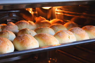 Hot cakes in the oven on a baking sheet. Close-up. Background.