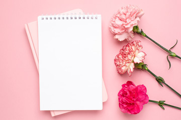 Notepad and pink carnation flower on pink background