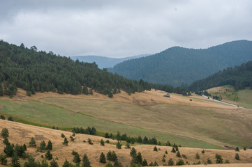 Hilly landscape in Serbia, Zlatibor. Beautiful view with hills, clouds, trees and wooden houses. Blue sky and grass. Beautiful plain.  Foggy day and hills. Nature