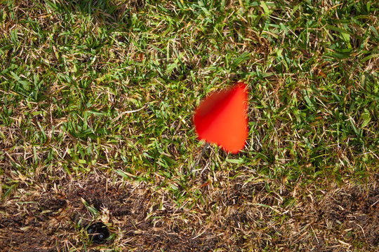 Sprinkler flags or markers for lawn aerator
