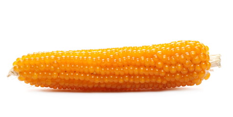 Cob of popcorn isolated on white background