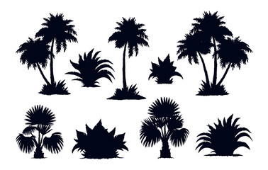 Fototapeta premium Palm forest. Vector drawing
