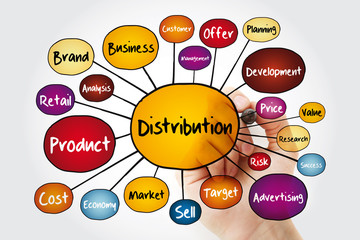Distribution mind map flowchart with marker, business concept for presentations and reports