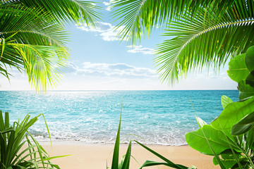 Panele Szklane  Widok na ładną tropikalną plażę z kilkoma palmami?