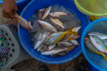 The way of life of fishermen fishing boats to feed their families. many people are waiting for buy...