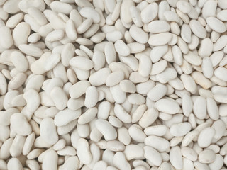 White haricot bean (kuru fasulye) back ground