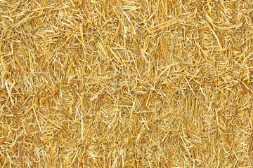 Bale of golden straw texture. Animal food background