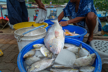 The way of life of fishermen fishing boats to feed their families. many people are waiting for buy...