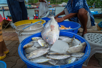 The way of life of fishermen fishing boats to feed their families. many people are waiting for buy...
