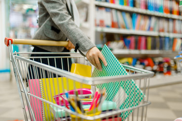 Schoolgirl puts a notebook in the cart, stationery