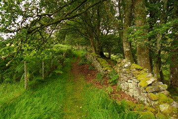 Fototapeta na wymiar Pastoral Hiking Trail in Rural Wales