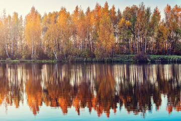 Reflection of the autumn mountain forest in the lake