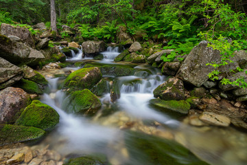 Naklejka na ściany i meble Waterfall from the Retezat National Park,Romania