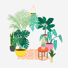 Hand drawn tropical house plants. Popular houseplants : monstera, palm, ficus, dracaena. 